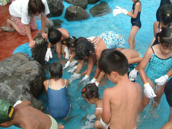 ちびっこフェスタ　魚つかみどり＆バーベキュー大会