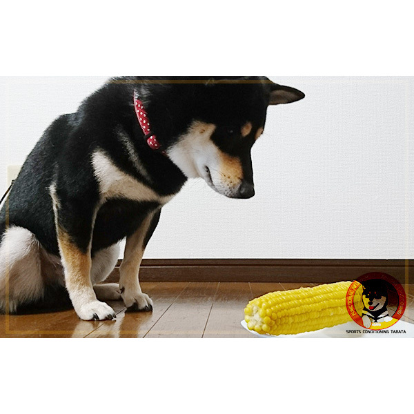 ダイエットは、素直に？