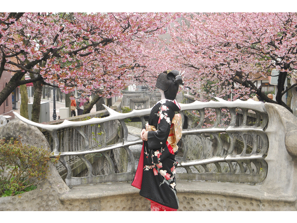 第6回あたみ桜 糸川桜まつり