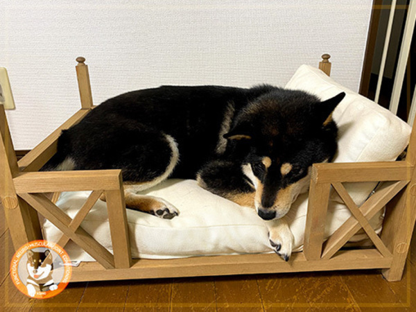 リバウンドしないダイエットって？