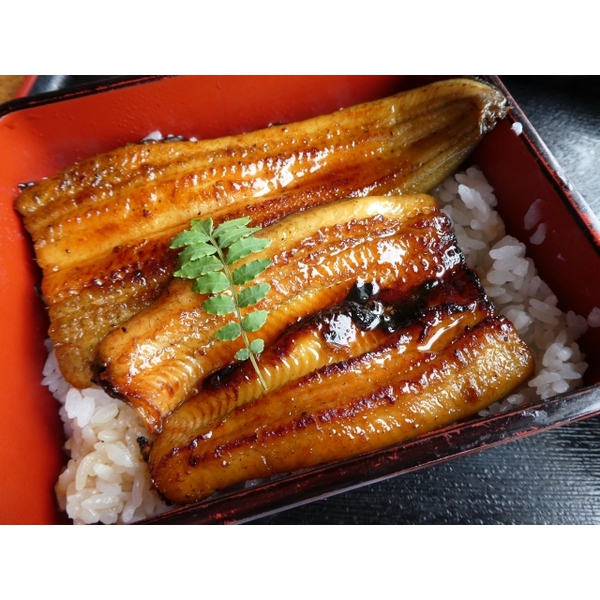 明日は、土用の丑の日！