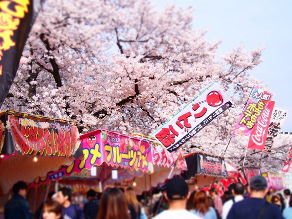 河津桜まつりに屋台を出したい。クラウドファンディングで資金集め。