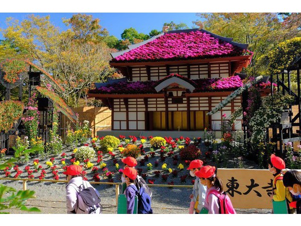 第70回　楽寿園　菊まつり