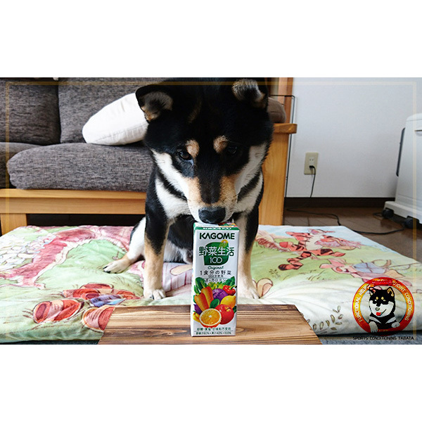 野菜ジュースって太るの？(ダイエット物語)