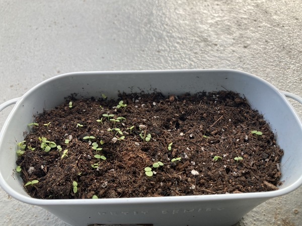 イベント盛りだくさんの10月