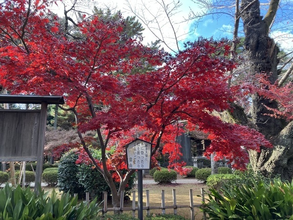 (有)キャスコンサルタント