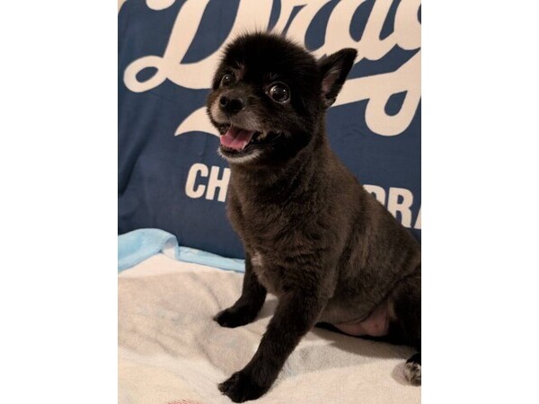 こっちゃん日記