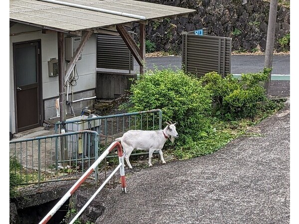 こっちゃん日記