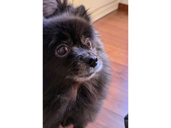 （有）キャスコンサルタント