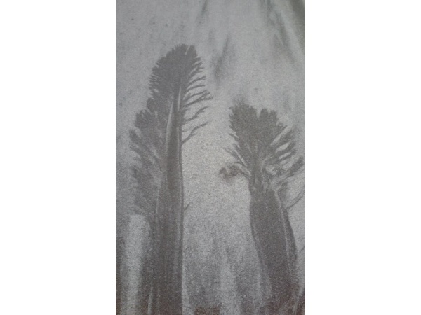 弓ヶ浜の「Sand Art」・・・超レア現象！？