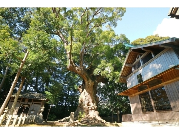 川津来宮神社　例大祭
