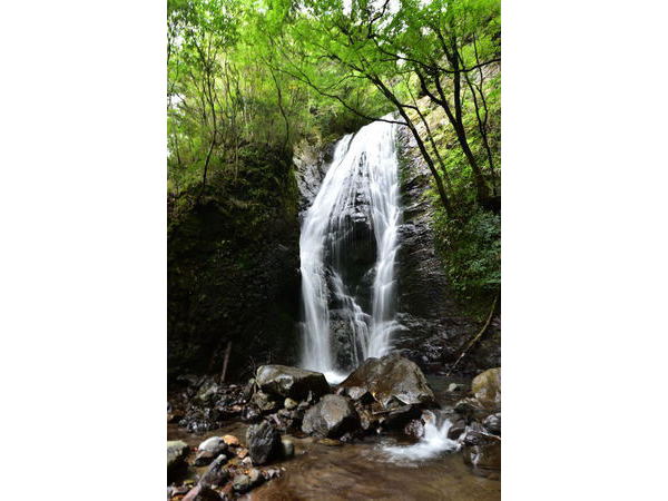 西伊豆町　三方滝