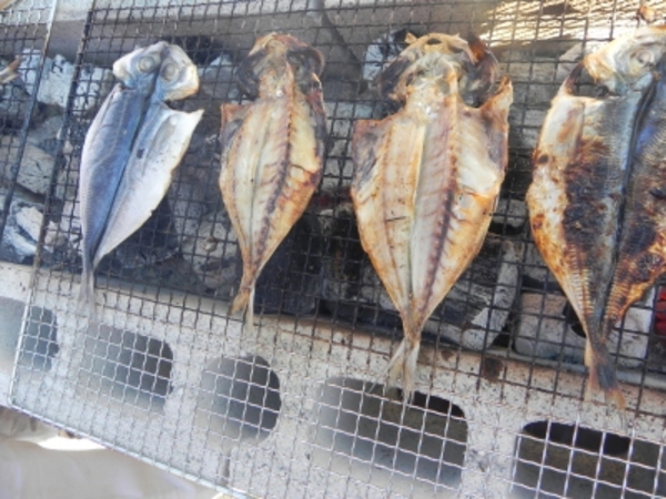 【中止】網代温泉ひもの祭り