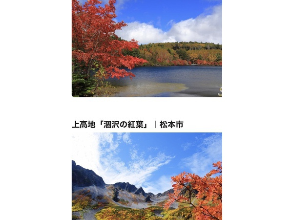 ～紅葉～