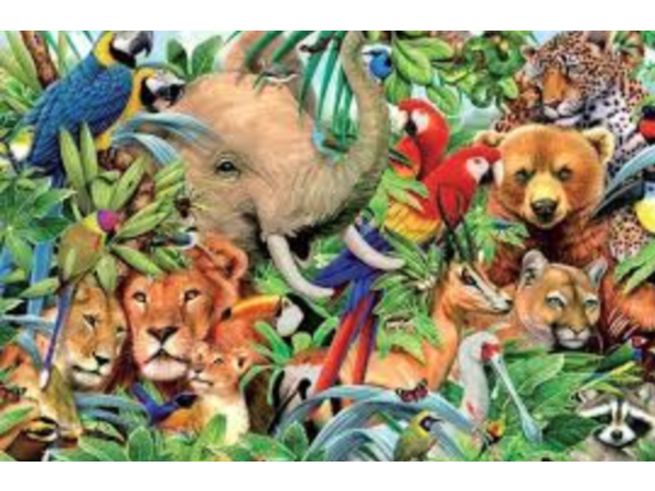 ”世界動物の日”　 