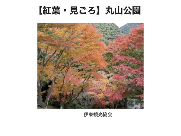 ～紅葉№2～
