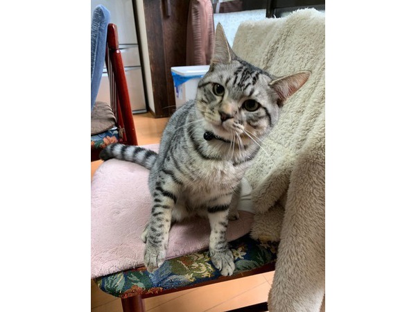 =^_^=タロー君の成長=^_^=