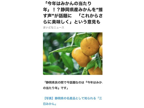 ●みかん●