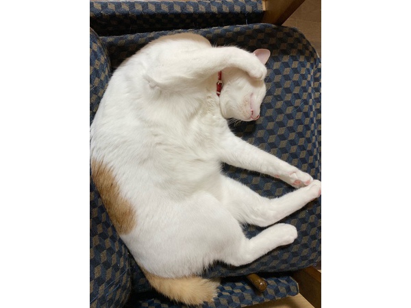 =^_^=ダイエット進まず=^_^=