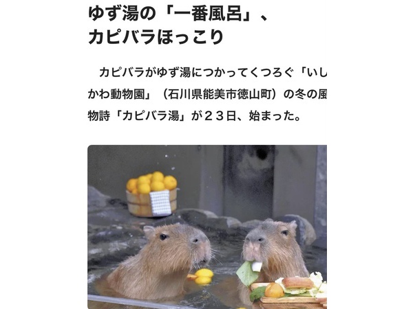♡♡癒される～♡♡