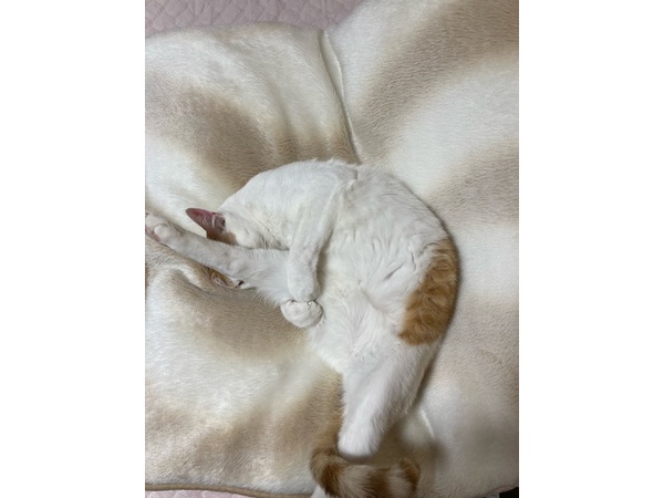 =^_^=お外大好き=^_^=