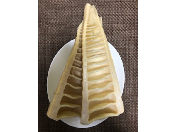 筍