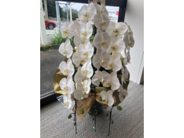∼伊豆高原支店より∼