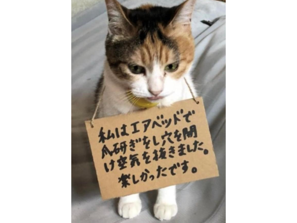 =^_^=　反省　=^_^=