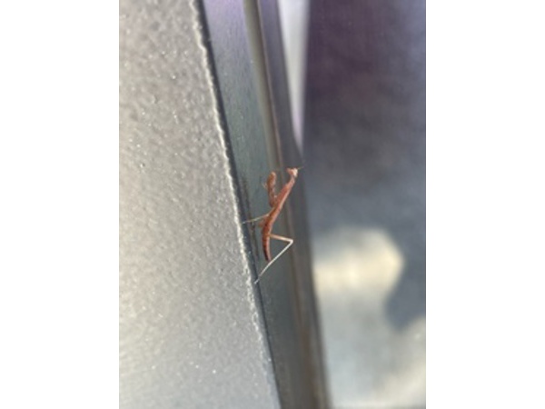 朝一番のお客様
