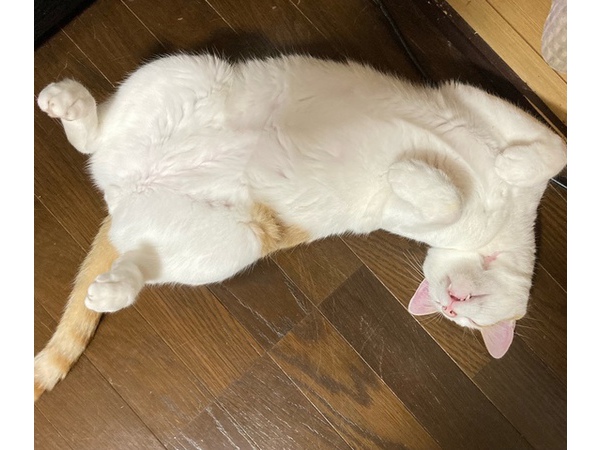 =^_^=寝姿=^_^=