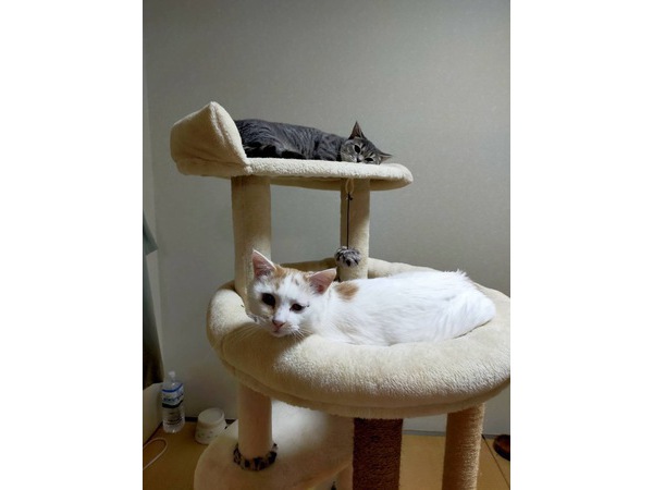 =^_^=安心=^_^=