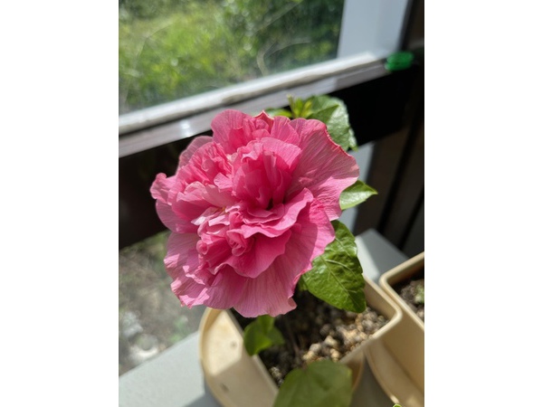 夏の終わり