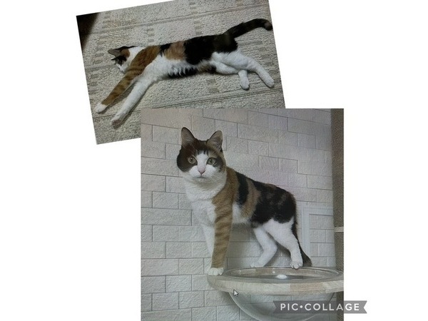 =^_^=　ワンショルダー　=^_^=