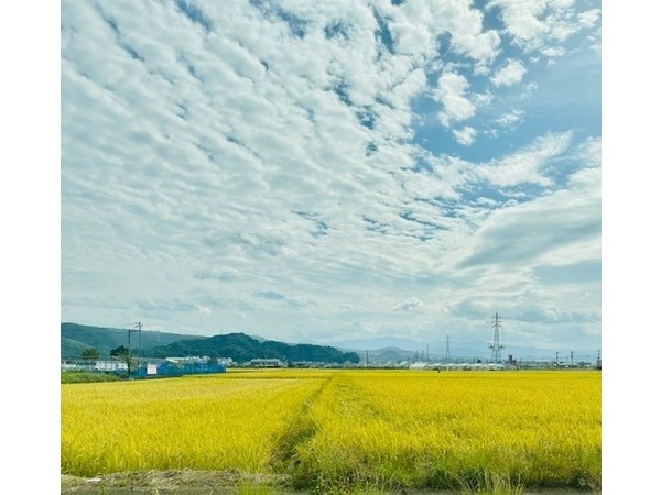 田園風景