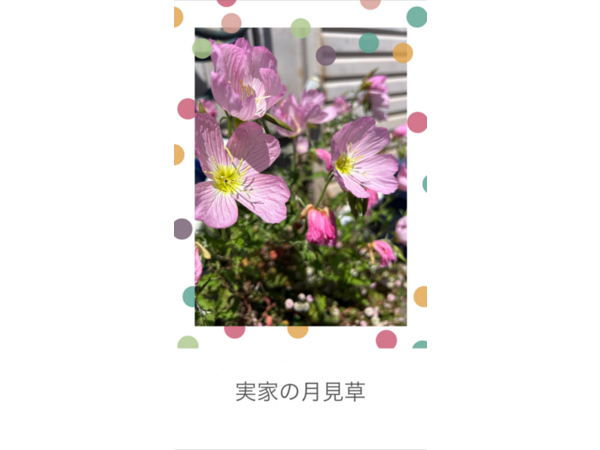 実家