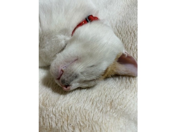 =^_^=汚い春男=^_^=