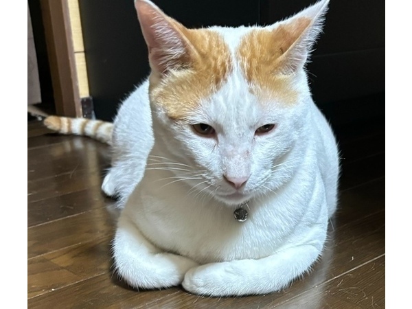 =^_^=記念日=^_^=