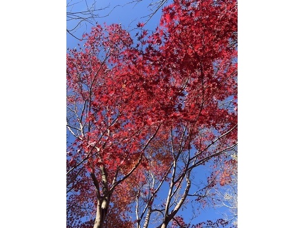 ～冬らしくなってきましたね～