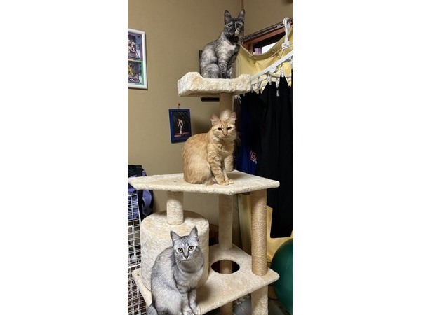 ～お役に立てたようで～