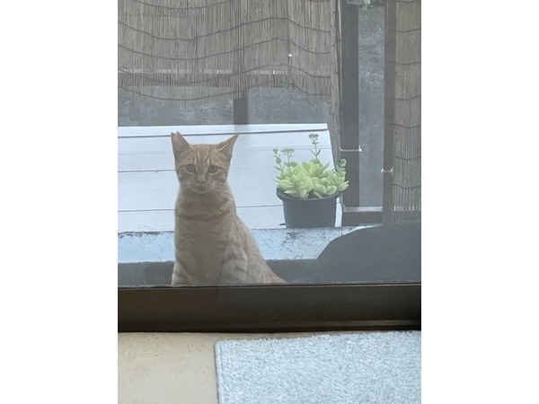 ヨシダ装建(株)