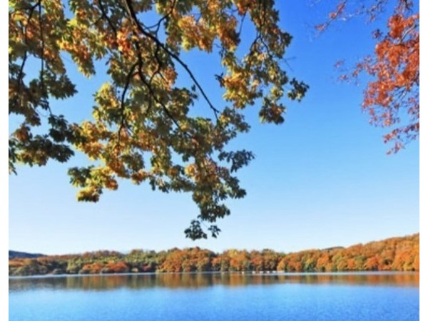 ~紅葉が待ち遠しい~