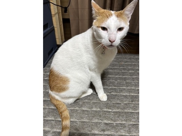 (=^・^=)今年最後の春男投稿(=^・^=)