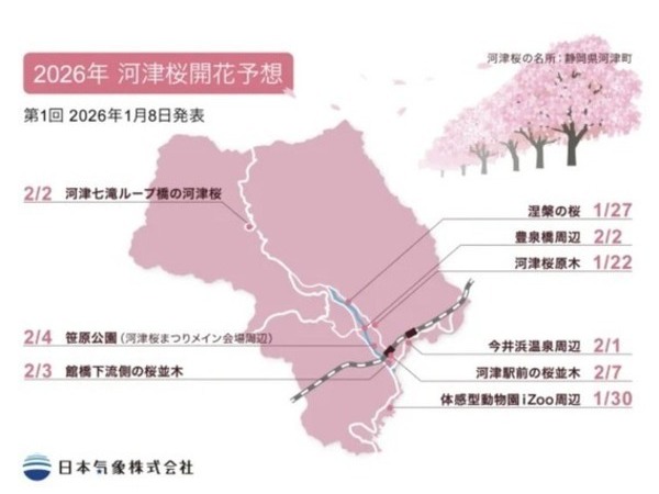 ✿いつ頃開花✿