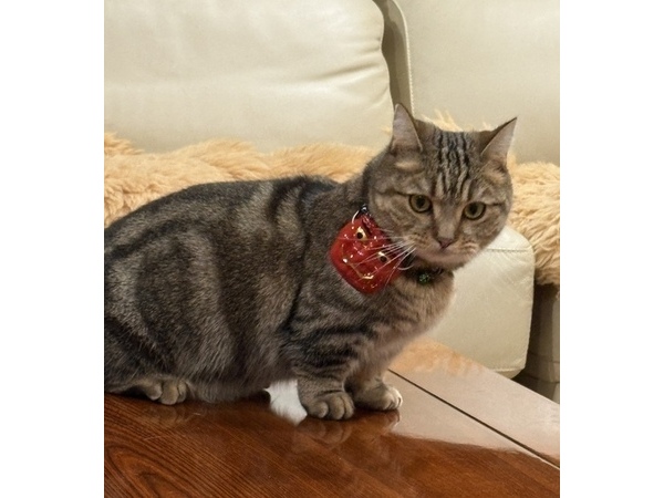 ヨシダ装建（株）