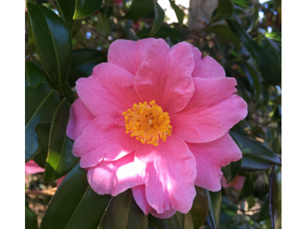 ヨシダ装建(株)