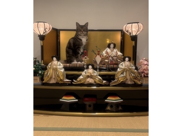 ヨシダ装建（株）