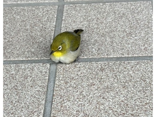 ヨシダ装建(株)