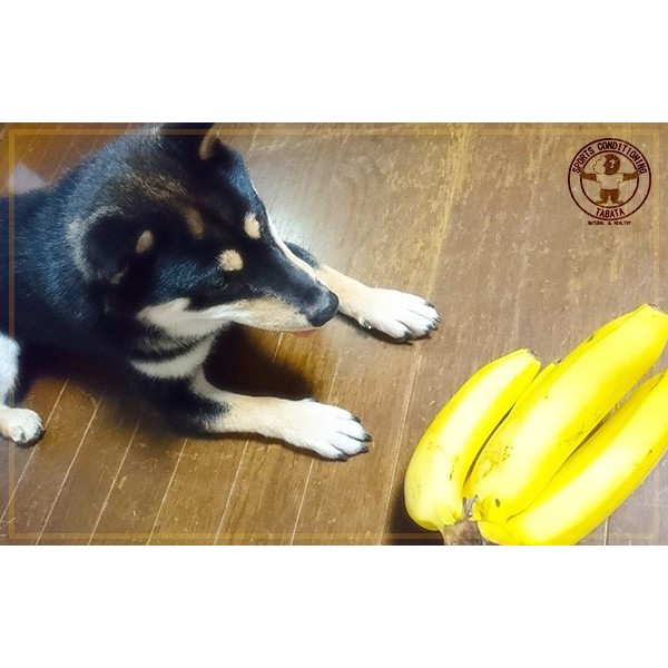 果物は要注意！(ダイエット物語)