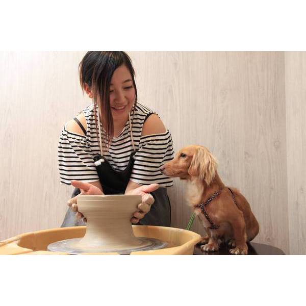 愛犬の駅の陶芸工房はご存じでしょうか？