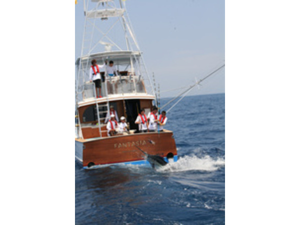 第36回国際カジキ釣り大会